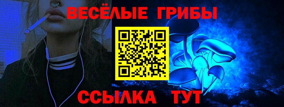 Псилоцибиновые грибы мицелий  Вход с VPN  как найти   Серпухов 